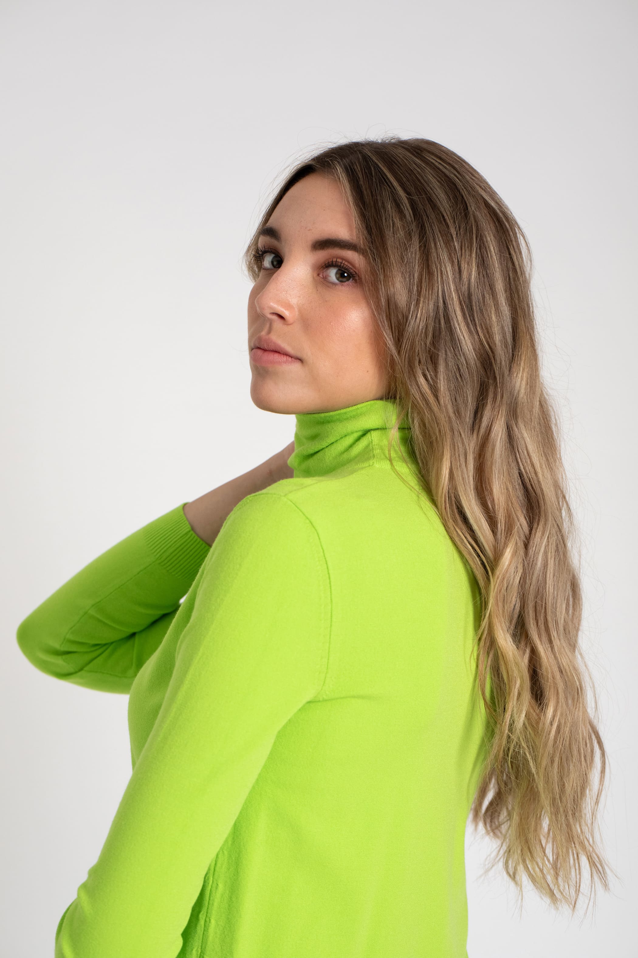 CISNE BÁSICO
