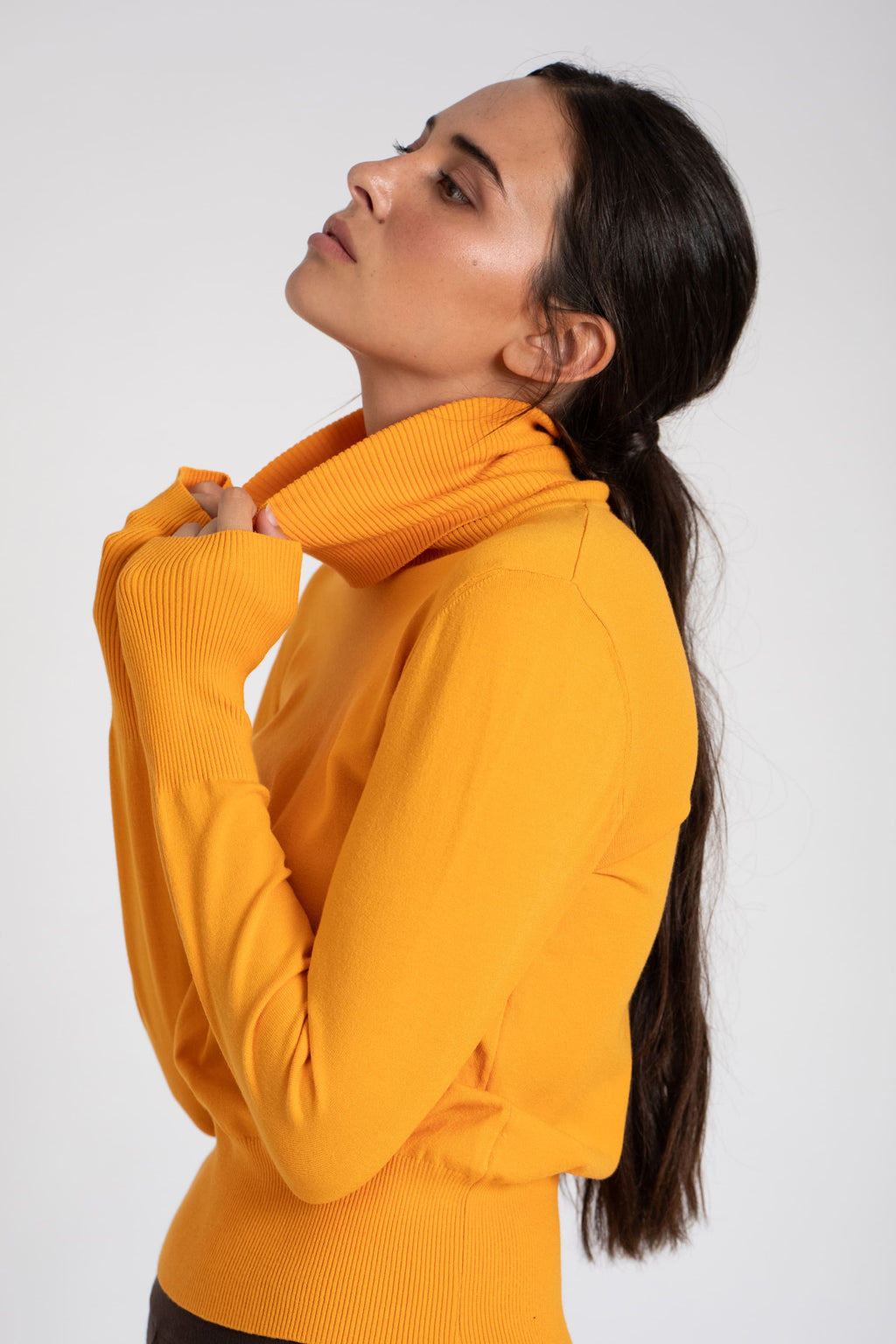 JERSEY CISNE SLIM FIT